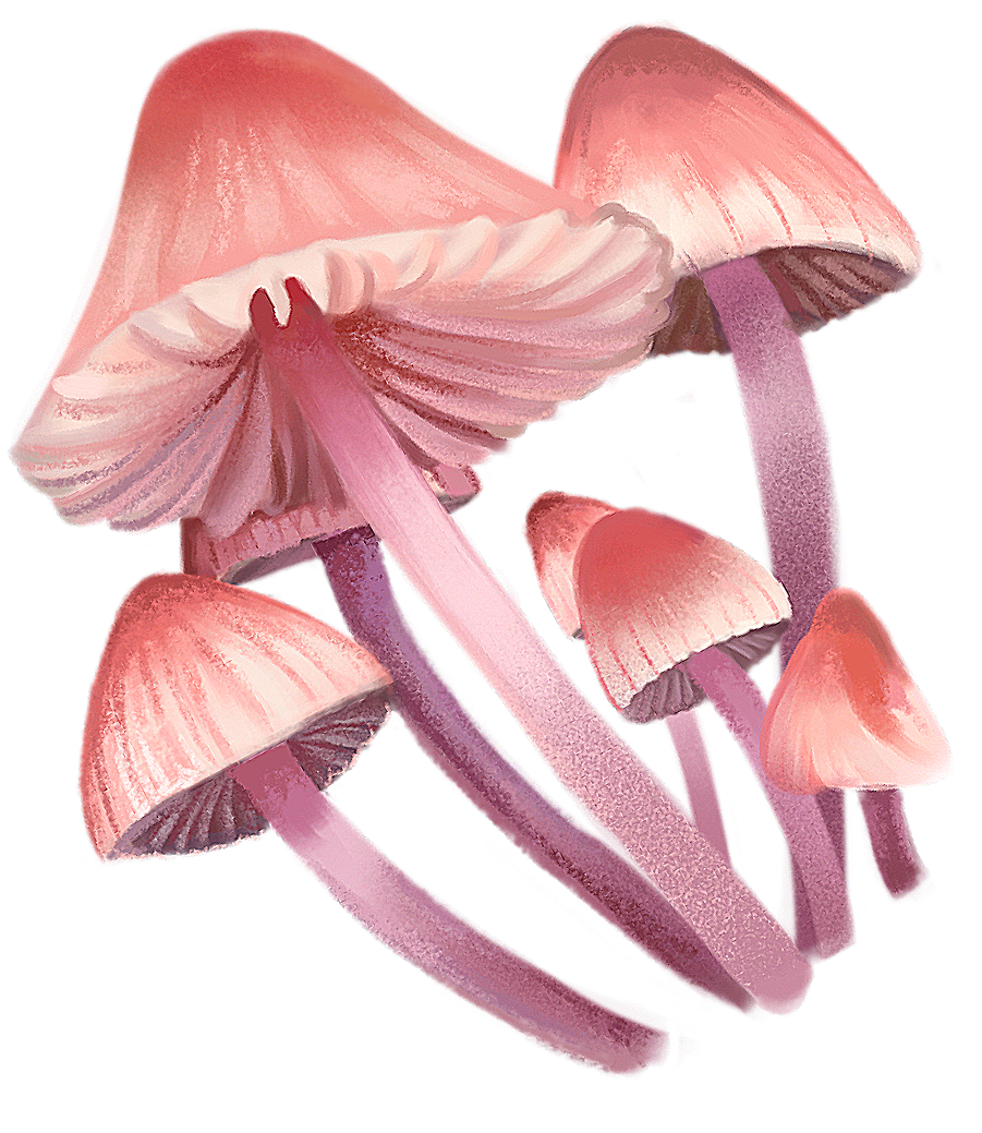Pink Mushrooms Sticker