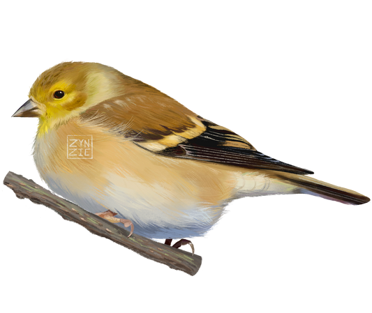 American Goldfinch Sticker