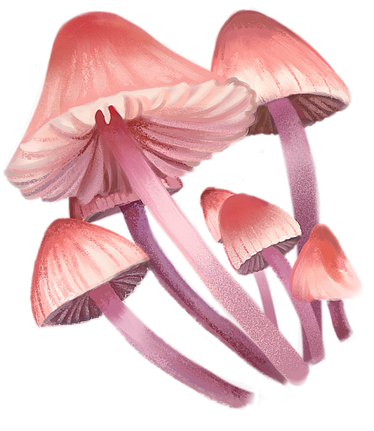 Pink Mushrooms Sticker
