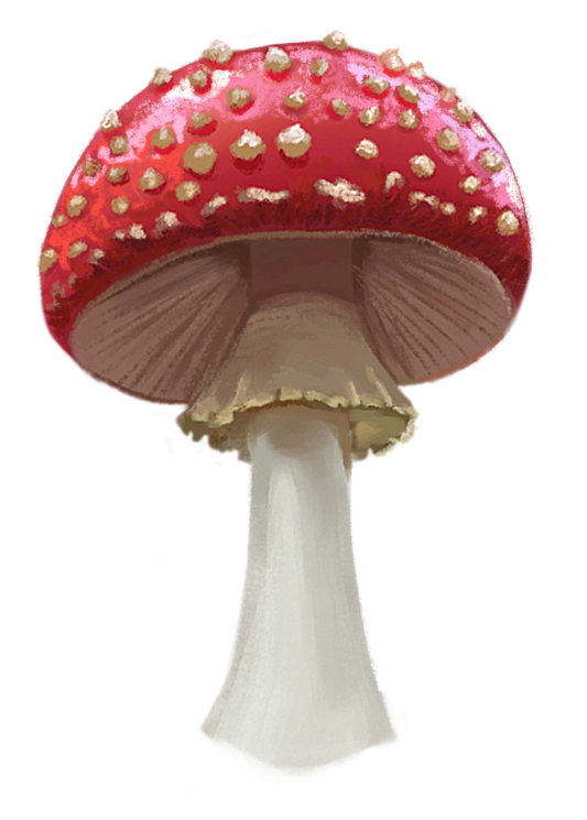 Red Amanita