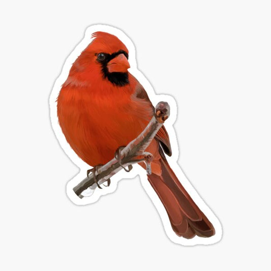 Cardinal Sticker
