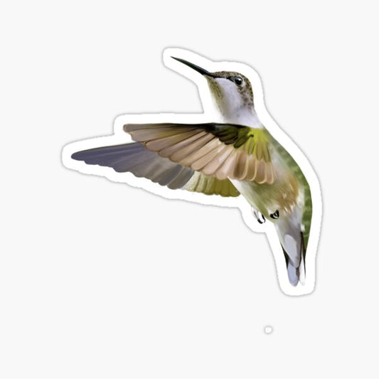 Hummingbird Sticker