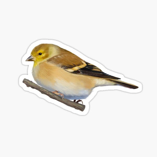 American Goldfinch Sticker